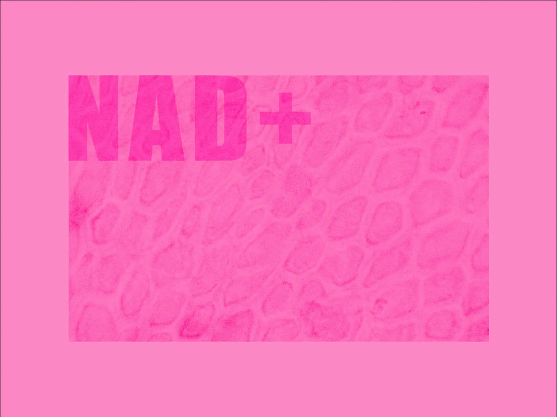 NAD+ molecule illustration for cellular energy and longevity
