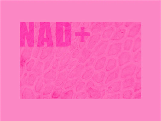 NAD+ molecule illustration for cellular energy and longevity