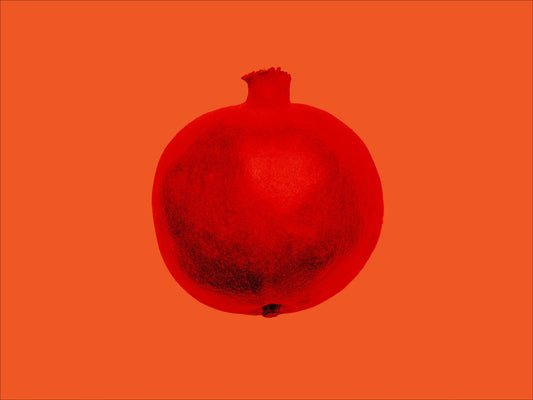 Pomegranate extract for mitochondrial health and longevity benefits