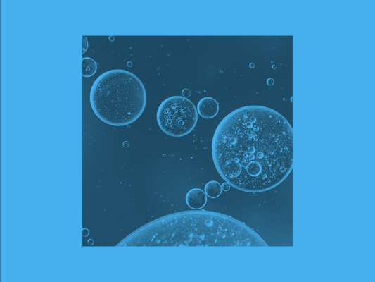 understanding soluble and insoluble fiber: their impact on your health and longevity