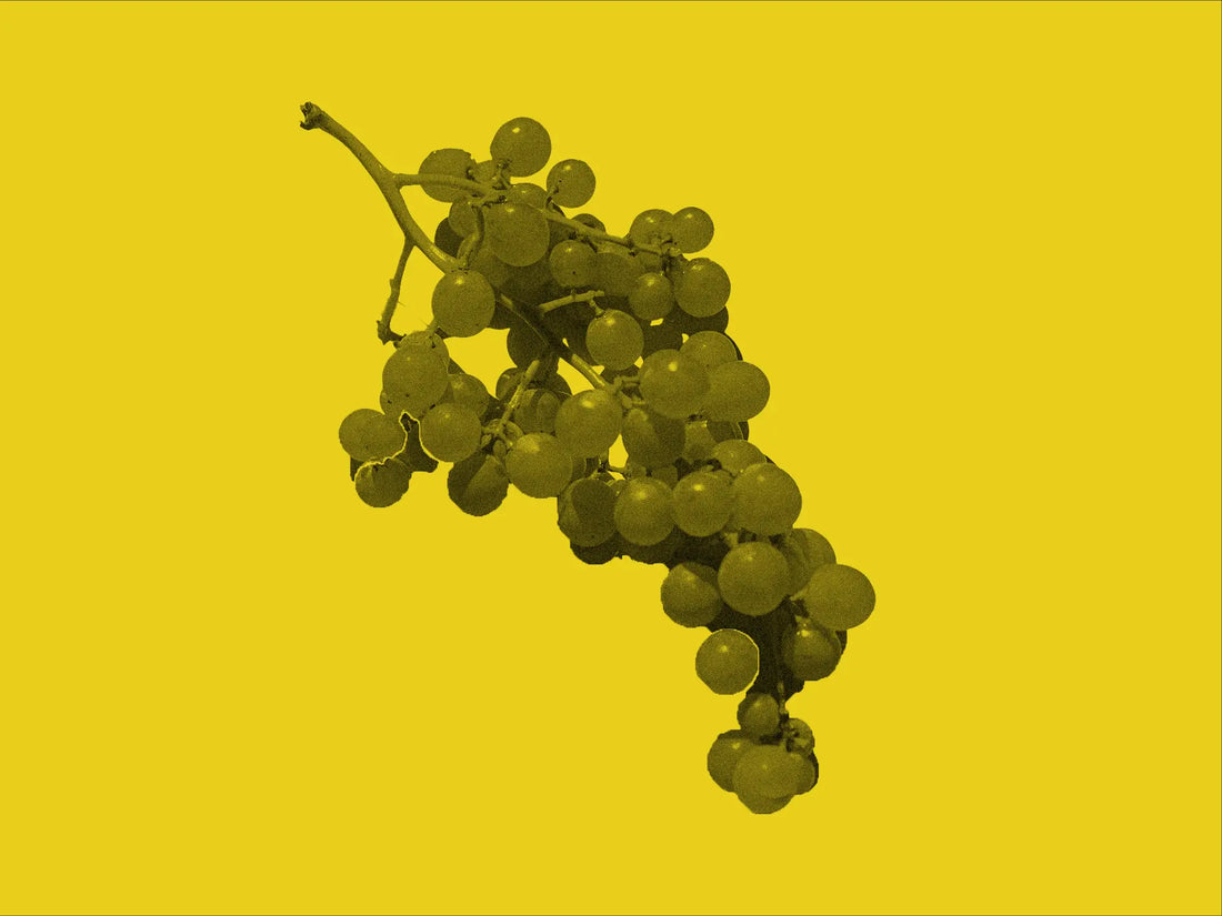 Red grapes containing resveratrol for anti-aging and longevity