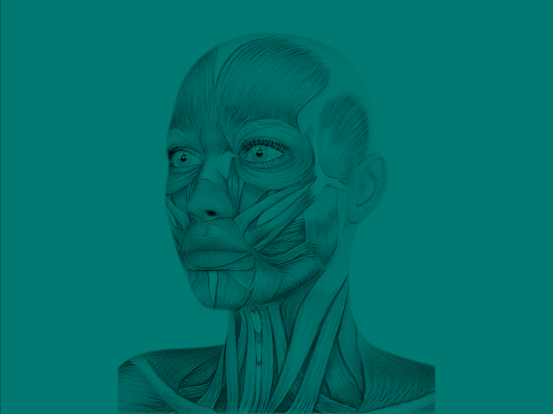 Creatine molecule structure and longevity benefits illustration