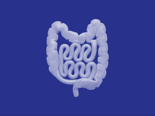 Gut health illustration showing prebiotics probiotics and postbiotics