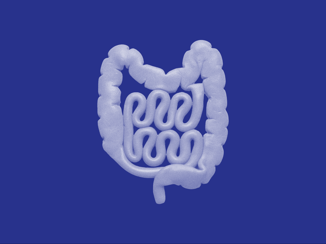 Gut health illustration showing prebiotics probiotics and postbiotics