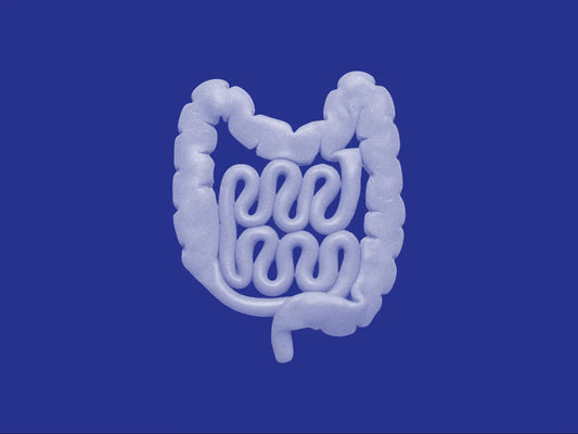 Gut health microbiome illustration for longevity and healthy aging