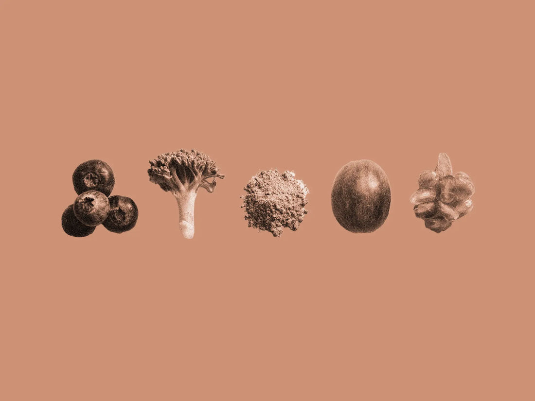 Longevity supplements for anti-aging and healthy aging benefits