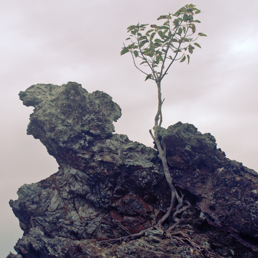 Character strengths and stress management concept illustration