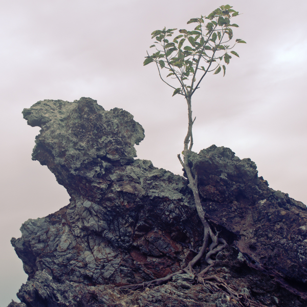 Character strengths and stress management concept illustration