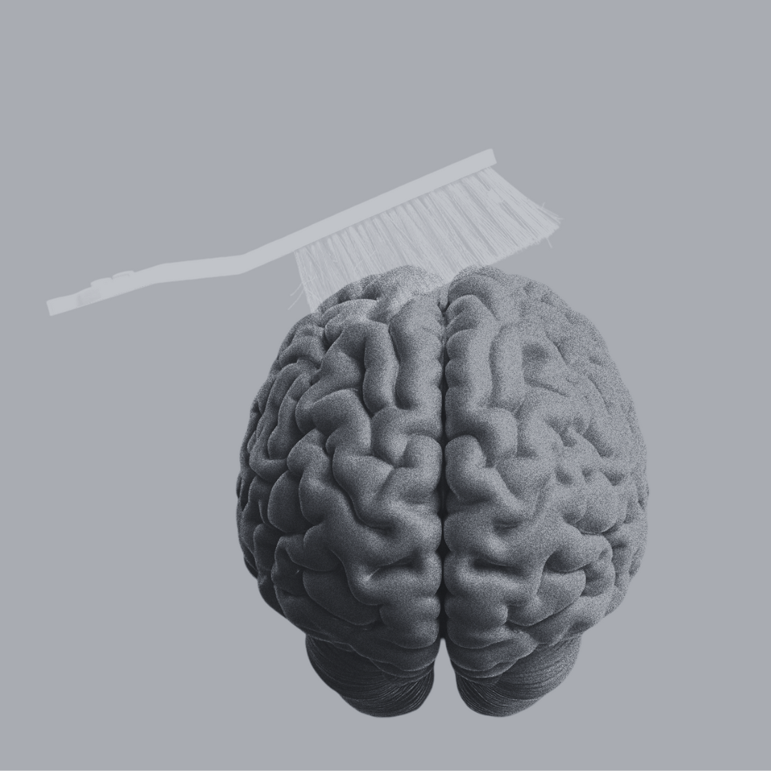 While You Sleep, Your Brain Cleans Itself: The Role of the Glymphatic System 