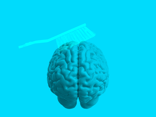 Brain illustration showing glymphatic system waste disposal network