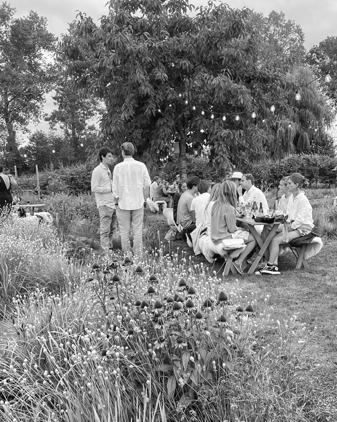 Social connections and meaningful interactions for stress relief