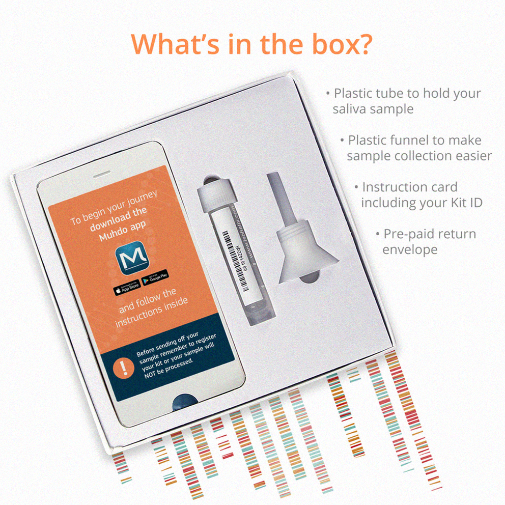 THE DNA kit