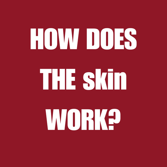 How does THE skin work